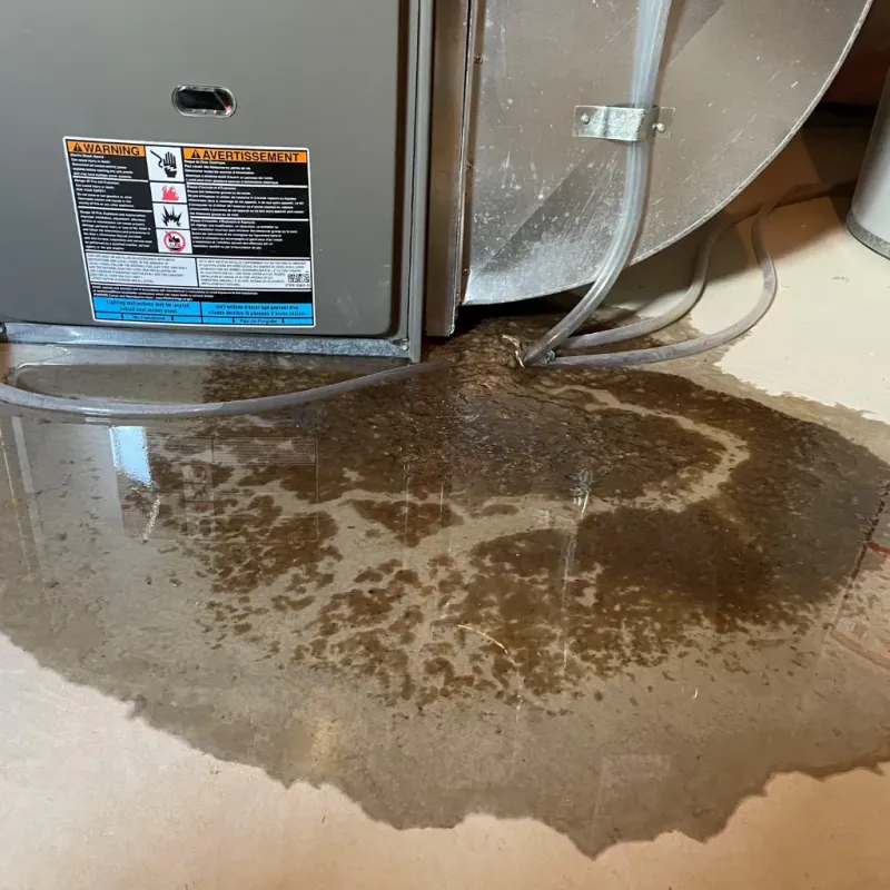 Appliance Leak Cleanup in Tariffville, CT